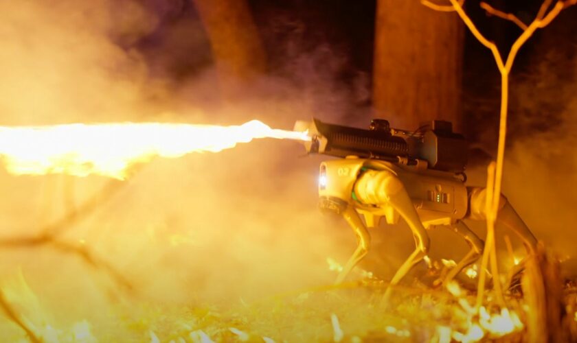 Ferngesteuerter Flammenwerfer: Roboter-Hund "Thermonator" spuckt Feuer – und ist in den USA fast überall legal