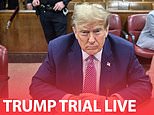 Donald Trump trial LIVE: Man sets himself on fire outside court in horrifying scene as evidence hearing continues