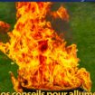 Gorafi Magazine : Nos conseils pour allumer son barbecue avec la flamme olympique