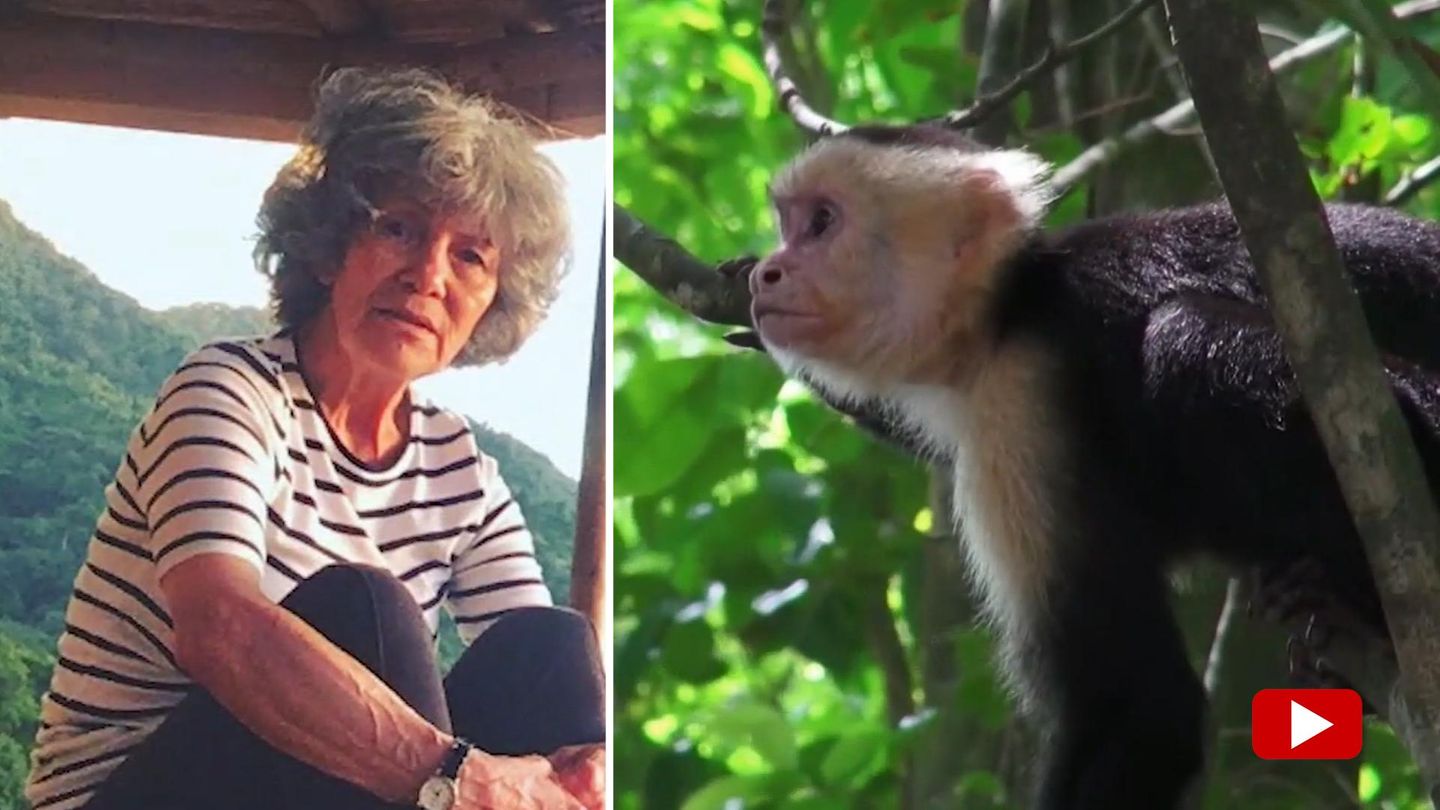 Kolumbien: Unter Affen aufgewachsen: "Dschungelkind" Marina berichtet von ihrer Zeit im Urwald