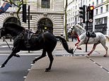 LIVE: Horses covered in blood rampage through central London with one soldier left injured