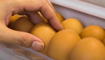 Life-Hacks: Warum Sie Eier nicht im Kühlschrank aufbewahren müssen