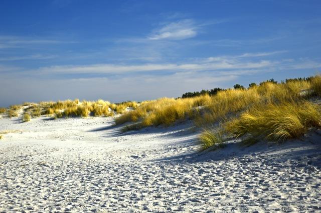 Exploring the Unique Coastal Cultures and Experiences in Key surf Markets