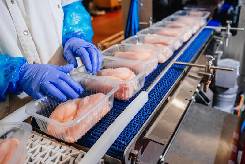 Brazils Chicken ⁣Export Growth Surpasses Market ‌Projections