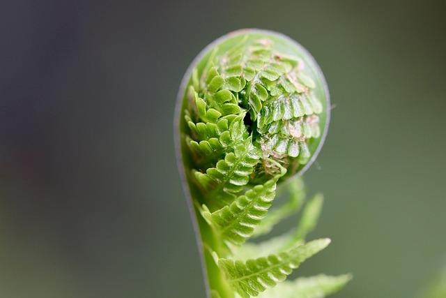 Future ​Challenges and Recommendations for Sustainable Growth