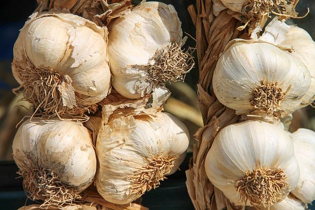 Exploring Regional Flavors through Innovative Menus