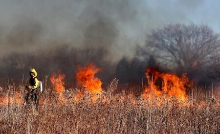 Video shows Japan battling the worst wildfire in decades – CNN