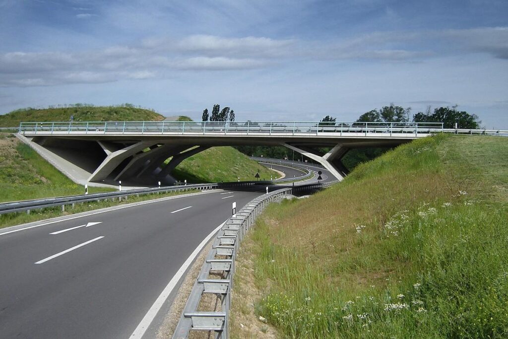 Russia soon to begin to build road bridge to North Korea – Reuters.com