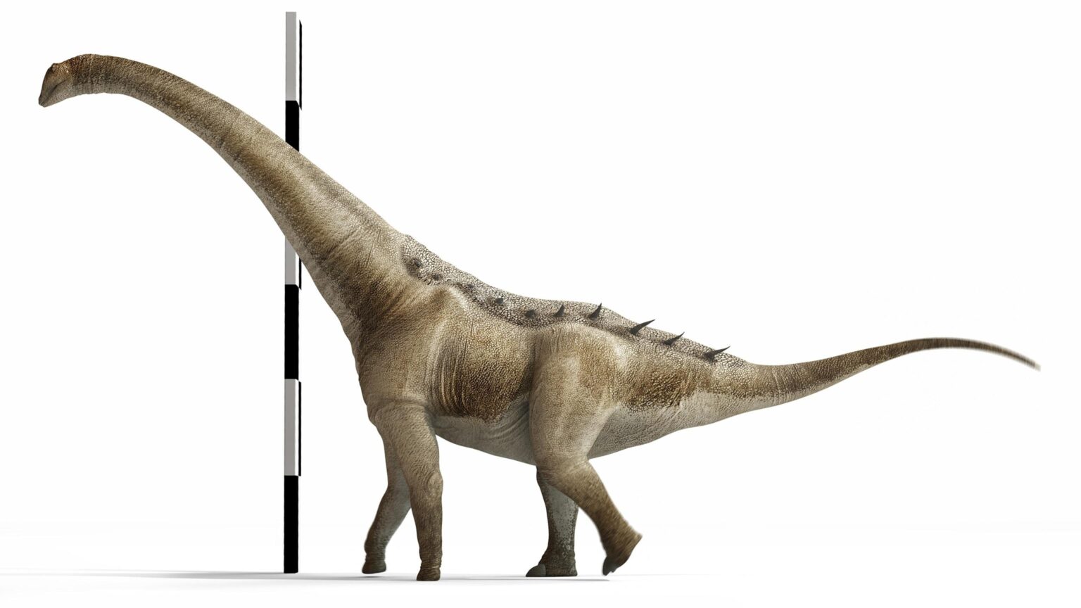 New 22-foot-long titanosaur discovered in Argentina – Popular Science