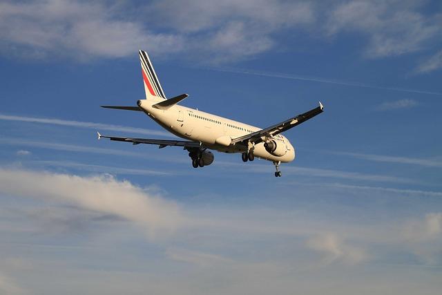 Air France passenger's​ lost phone forces plane‌ to ⁤return to airport mid-flight ⁤-‌ New York Post