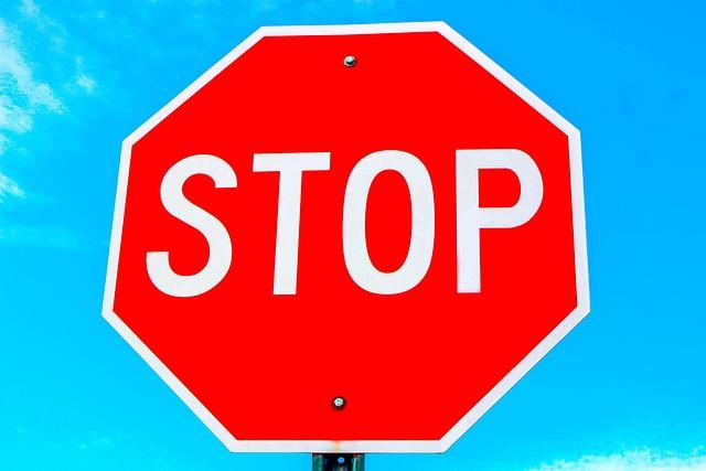 Netherlands Joins allies in Issuing Travel Warnings ⁢for U.S. Visitors