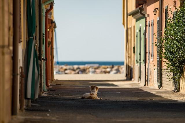 Italys Resilience: Key‌ Statistical Insights into Recent ⁣Performances