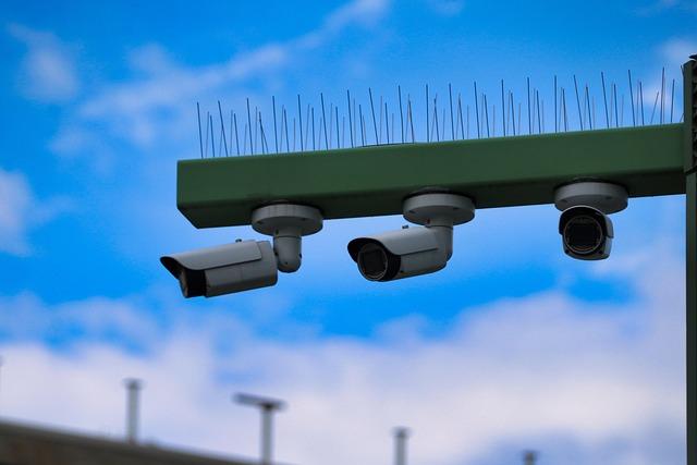 Government Surveillance: justifications and Consequences