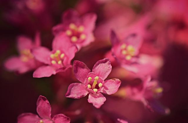 Springtime ⁢Art Showcases Around ⁤the World