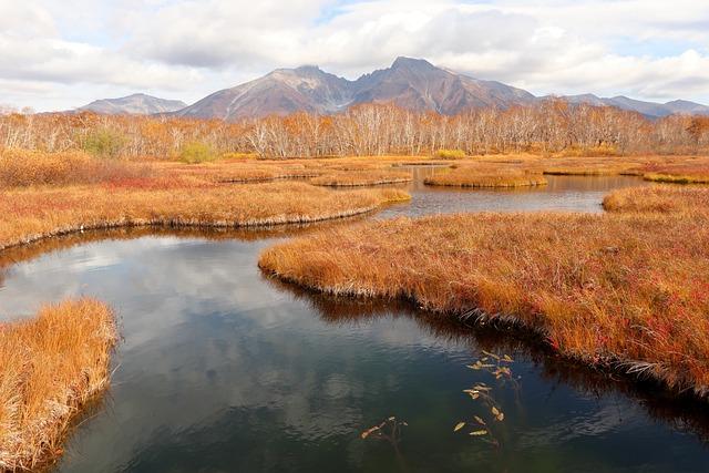 Key Features of illvelo Swamp Happy Together That Set It Apart