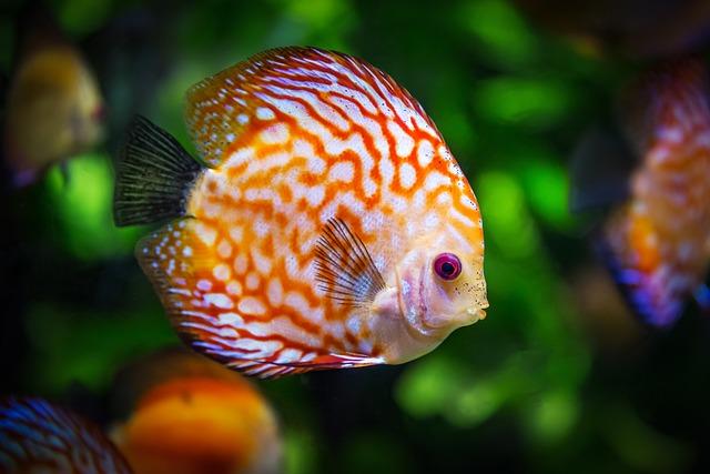 Key Factors Driving ⁣Volume Increases in the Frozen Fish Sector