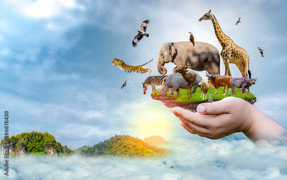 Understanding the Impact of Social Media on Wildlife Conservation Efforts