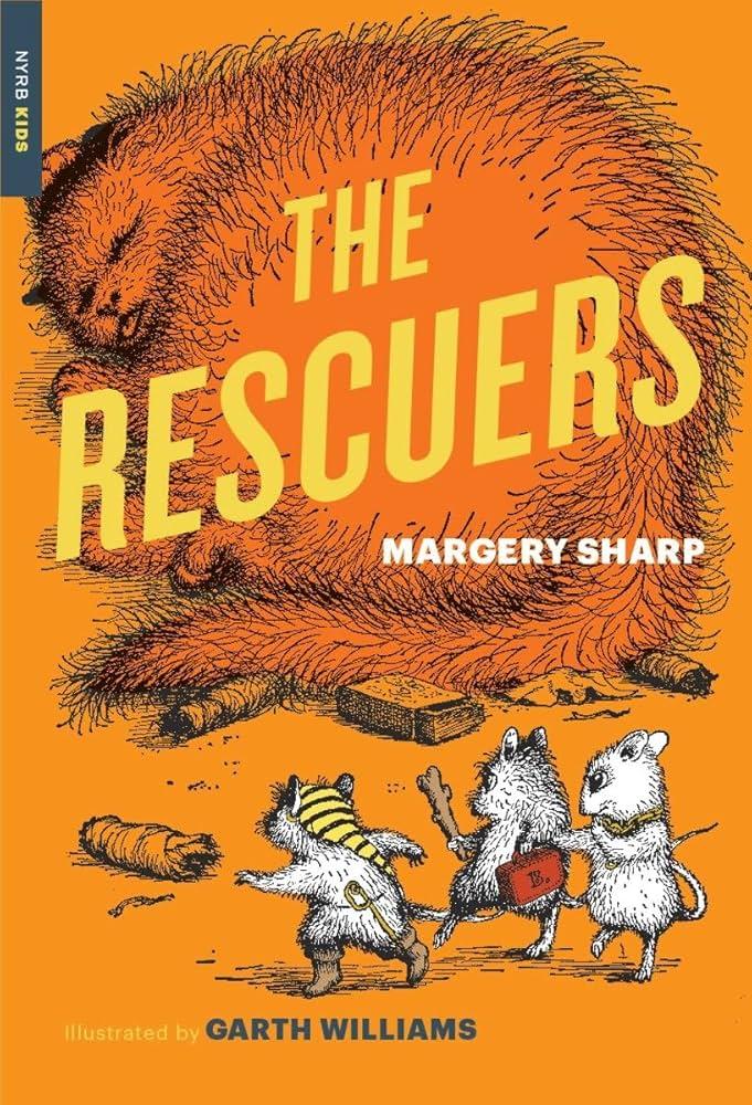 Key Challenges faced by Rescuers During the Operation