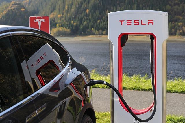 Future Outlook for Teslas Brand Positioning in the German Market