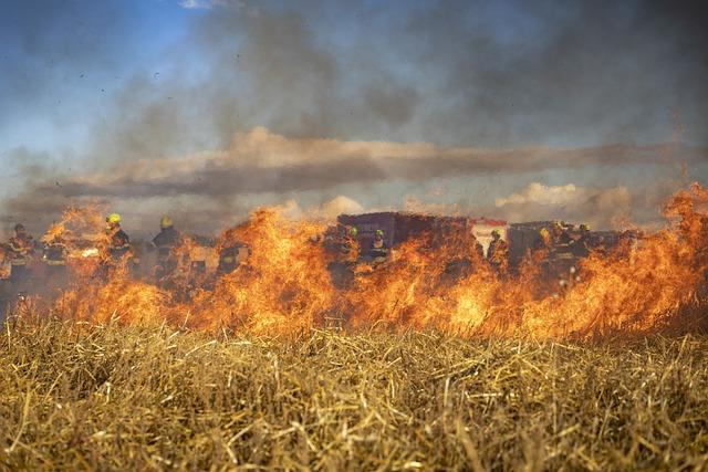 Japans Escalating Wildfire Crisis Demands Urgent Attention