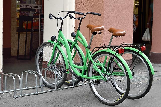 Strategic Recommendations for​ Stakeholders to Capitalize on the upcoming bike Rental Boom