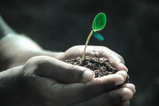 Evaluating the Impact on Civilian Life and Humanitarian Efforts