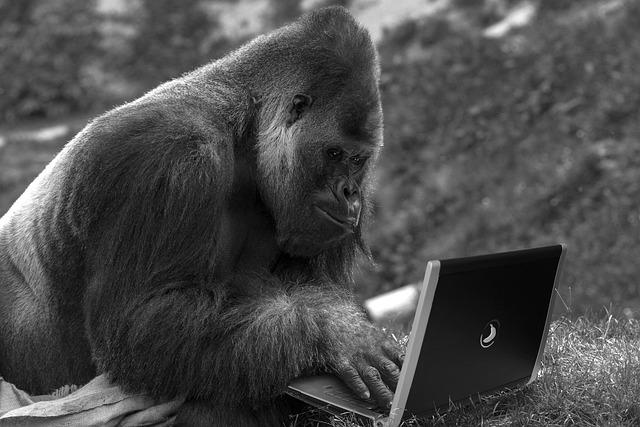 The Role of Technology in Enhancing Economic Forecasting‌ in⁣ China