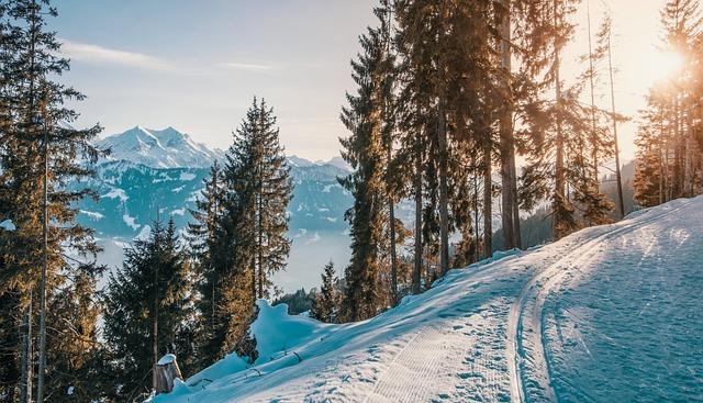 A Guide to the Best Ski Runs and Terrain for Every Skill Level