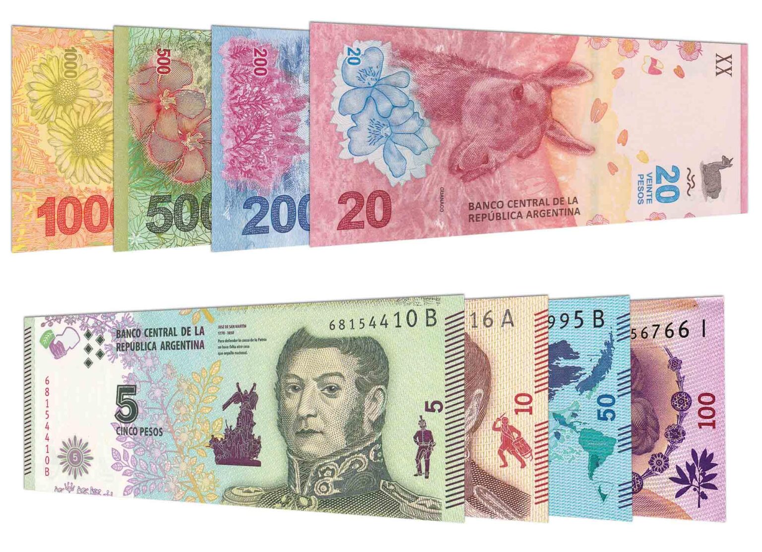 Argentina’s peso: where’s the currency headed after FX regime overhaul? – MSN