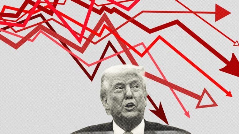 How Trump’s Trade War Might Fuel Amazon Deforestation