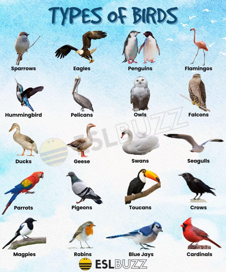 Two Decades After the Ban: French Birds Still Falling Victim to Toxic Lead Pellets