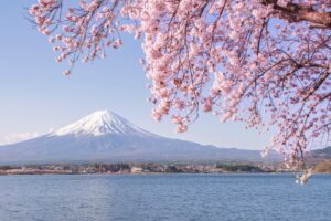 Japan’s Prime Minister Ishiba Calls for Fairness in Currency Negotiations with the US
