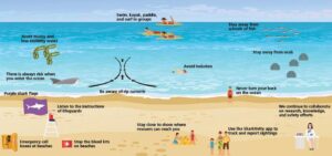 Tragic Easter Weekend: The Perfect Storm of Factors Behind Australia’s Beach Catastrophe