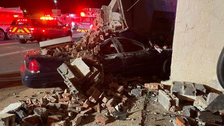 Tragic Test Drive: Entrepreneur Loses Life in Car Accident