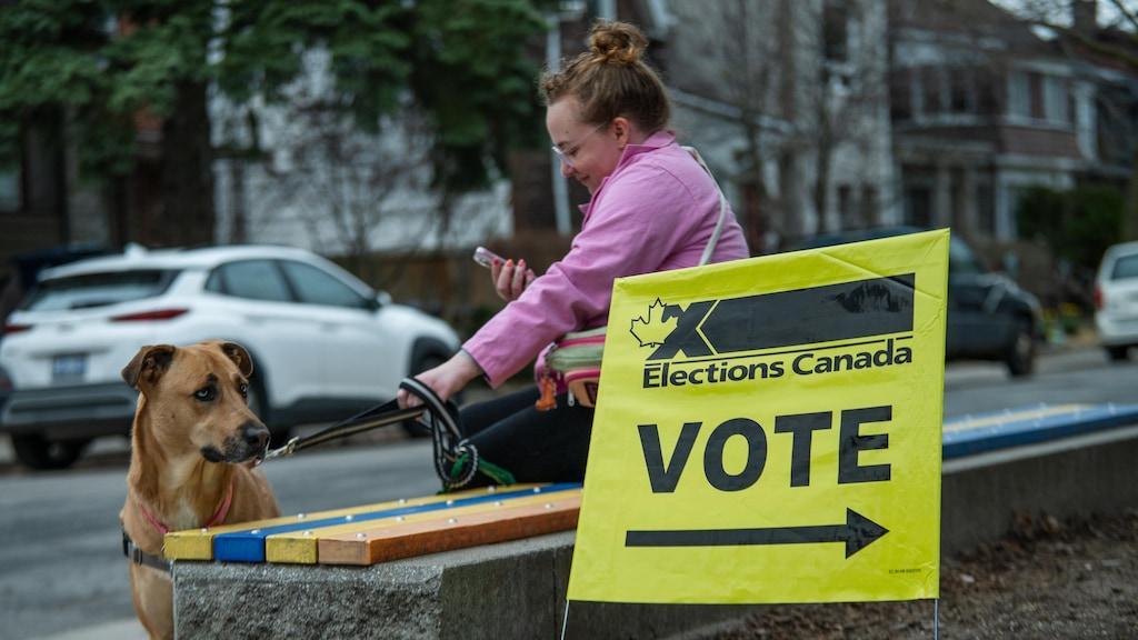 Canada’s Election Showdown: Carney or Poilievre Takes on Trump’s Tariffs!