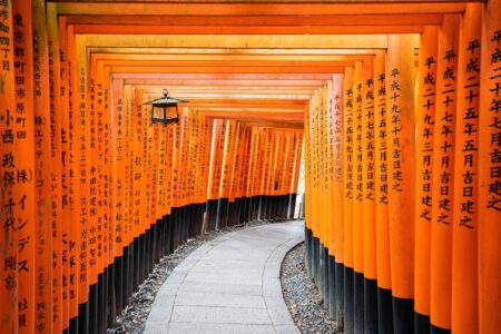 Discover Japan: Your Ultimate Guide to the Best Food, Sights, and Hotels!