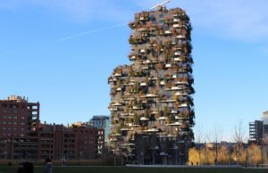 Oyster Bay Earns Prestigious ‘Tree City, USA’ Title!