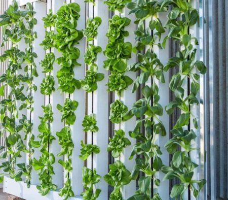 Planet Farms Unveils Ambitious £25 Million Vertical Farm Project in the UK!