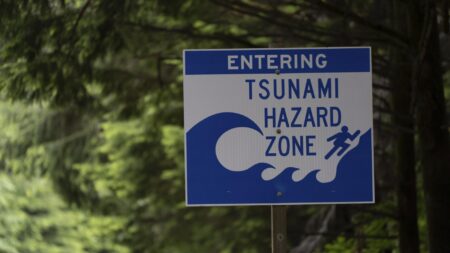 Urgent Tsunami Alert: Argentina and Chile on High Alert After Powerful Earthquake Triggers Evacuations!