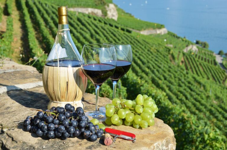 Unlocking the Secrets of Italian Wine: A Sommelier’s Expert Guide