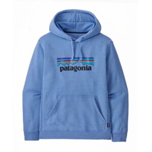 Discover the Enchanting Winter Wonders of Argentinian Patagonia with Delta!