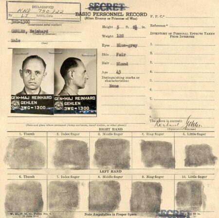 Unearthed Secrets: A Cache of Forgotten Nazi Documents Discovered in Argentina’s Supreme Court Basement
