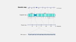 Unlocking Health Secrets: New Genetic Variants Discovered in Brazil’s Diverse Population