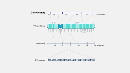 Unlocking Health Secrets: New Genetic Variants Discovered in Brazil’s Diverse Population
