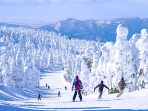 Discover Japan’s Hidden Powder Paradise: Endless Snow and Serene Slopes Await!