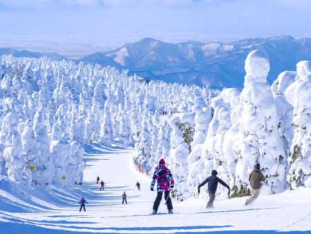 Discover Japan’s Hidden Powder Paradise: Endless Snow and Serene Slopes Await!