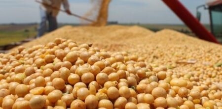 North Dakota Farmers Face a Shifting Soybean Market Amidst China’s Influence and Tariff Challenges