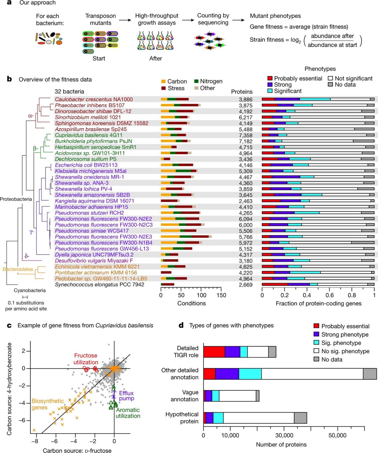Uncharted Bacteria Discovered on China’s Tiangong Space Station: A New Challenge in Space Resistance! Uncharted Bacteria Discovered on China’s Tiangong Space Station: A New Challenge in Space Resistance!