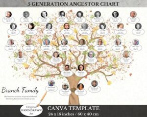 Exploring Argentina’s Family Dynamics: The Impact of Declining Birth Rates