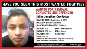 ICE Boston Arrests Armed Robbery Fugitive Wanted in Brazil